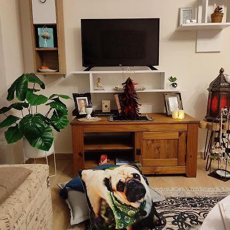 Mon Repos Paleopolis Cosy Apartment Corfu  외부 사진